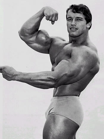 arnold schwarzenegger now fat. Arnold Schwarzenegger Now Fat
